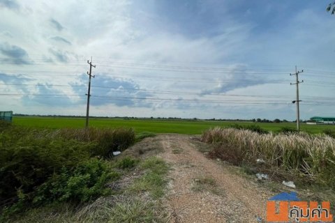 ขายทำเลดีและพื้นที่ที่ดินสวยมาก ต.บางพระขาว อ.บางบาล จ.พระนครศรีอยุธยา