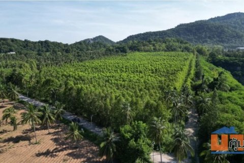 ขาย ที่ดินวิวภูเขา ตำบลบางพระ อำเภอศรีราชา จังหวัดชลบุรี