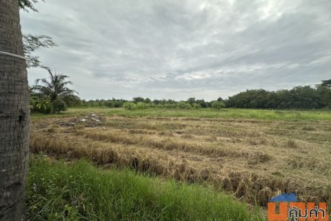 ขายที่ดิน เนื้อที่ 4ไร่ ต.เกาะพลับพลา อ.เมือง จ.ราชบุรี