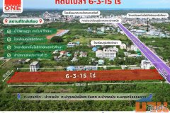 ที่ดินเปล่า เนื้อที่ 6-3-15 ไร่ หน้ากว้างติดถนน 36 เมตร ติดถนน สายหลัก นครศรีฯ-ปากพนัง