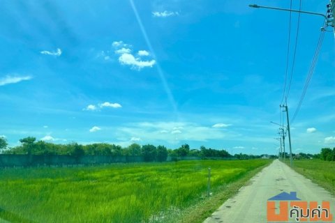 [ขาย] ที่ดิน 1 ไร่ | สามเรือน บางปะอิน อยุธยา | ติดถนนสาธารณะ | ใกล้มอเตอร์เวย์ | 3.88 ล้าน