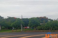 ขายด่วน! ที่ดินสวนเกษตรผสมผสานสไตล์รีสอร์ท อ.พัฒนานิคม จ.ลพบุรี พร้อมบ้านและสิ่งปลูกสร้างครบครัน โทร 063-3832910