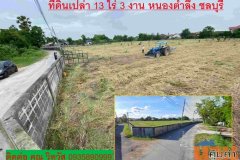ขายที่ดินเปล่า ทำเลดี ตำบลหนองตำลึง อำเภอพานทอง จังหวัดชลบุรี