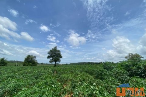 ขายที่ดินบ่อวิน ศรีราชา 52 ไร่ แปลงสวย ทำเลดี ใกล้ถนนเส้น 331 FP-L0894