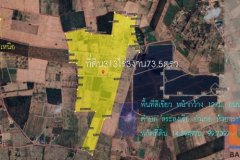 ขายที่ดิน313ไร่3งาน73ตรว. พื้นที่สีเขียว หน้ากว้าง 127ม. ถนนลูกลังสาธารณะ ตำบล สระลงเรือ อำเภอห้วยกระเจา กาญจนบุรี