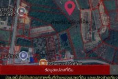 ขายที่ดินไร่ล่ะ 500,000 บาท จำนวน 38 ไร่รวม 2 โฉนด ตำบลช้างทูน อำเภอบ่อไร่ จังหวัดตลาด