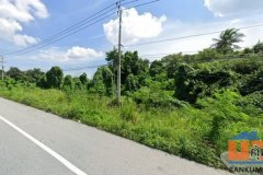 ขายที่ดินระยอง ติดถนนเส้น 3376 แปลงสวย โซนนิคมพัฒนา FP-L0911