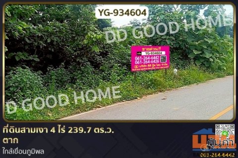 YG-934604 ที่ดินสามเงา 4 ไร่ 239.7 ตร.ว. ตาก ใกล้เขื่อนภูมิพล