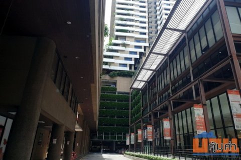 ขายออฟฟิศ อโศกทาวเวอร์ส(Asoke Towers) ซอยสุขุมวิท 21 เนื้อที่ 251 ตร.ม.