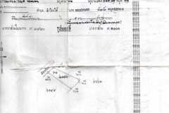 ขายบ้าน2ชั้น พร้อมที่ดินเป็นร้านค้าพร้อมเข้าอาศัย เนื้อที่ 100 ตารางวา