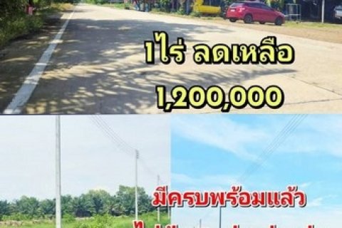 คลอง 8 บึงชำอ้อ ปทุมธานี โฉนดพร้อมโอน ไฟฟ้า 3 เฟส ประปา พร้อม ใกล้แหล่งชุมชน