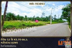 WR-783893 ที่ดิน 12 ไร่ 43.70 ตร.ว. หลังสวน ชุมพร ใกล้ โลตัสหลังสวน