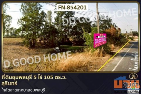 FN-854201 ที่ดินชุมพลบุรี 5 ไร่ 105 ตร.ว. สุรินทร์ ใกล้ตลาดเทศบาลชุมพลบุรี
