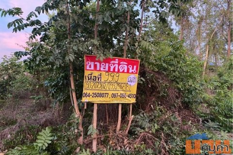 ขายที่ดินเปล่า 99.9 วา 2 แปลงติดกัน ใกล้ท็อปแลนด์คอนกรีต เมืองตาก
