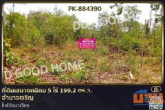 PK-884390 ที่ดินเสนางคนิคม 5 ไร่ 199.2 ตร.ว. อำนาจเจริญ ใกล้วัดนาเวียง