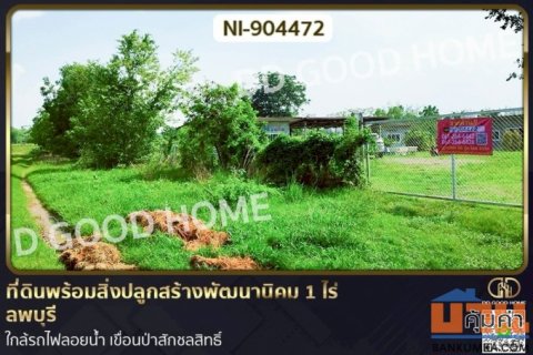 NI-904472 ที่ดินพร้อมสิ่งปลูกสร้างพัฒนานิคม 1 ไร่ ลพบุรี ใกล้รถไฟลอยน้ำ เขื่อนป่าสักชลสิทธิ์