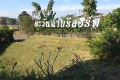 ขายตะวันฉายรีสอร์ท ทำเลทอง ในเมืองโคราช อำเภอสีดา จังหวัดนครราชสีมา