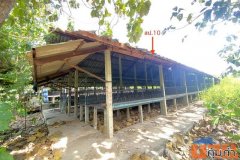 ขายโรงเลี้ยงสัตว์ ถ.พนัสนิคม - เกาะโพธิ์ ต.นาเริก อ.พนัสนิคม จ.ชลบุรี