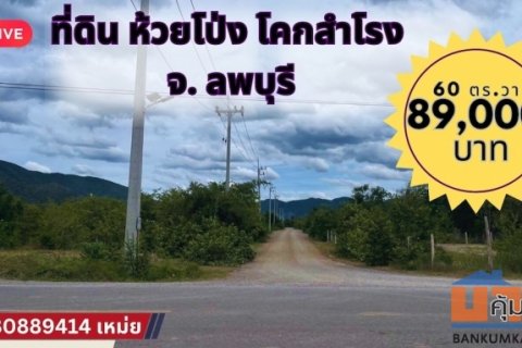 ที่ดิน ห้วยโป่ง โคกสำโรง ลพบุรี 60 ตร.วา 89,000 บาท