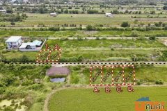 ที่ดิน หนองเสือ คลอง 10 จ. ปทุมธานี