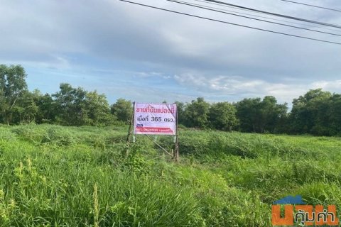 ขายที่ดินเปล่า บ้านกฤษดานคร 25 ซอยประชาร่วมใจ 31 เนื้อที่ 366 ตร.ว. แปลงสวย
