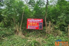 ที่ดิน - ไม่ไกลจาก ตลาดไท วัดธรรมกาย ร้านพี่ยาคนรุม 1300000 - 102 ตร.วา N I C E! ปทุมธานี