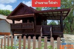 ขายบ้านพร้อมที่ดิน เนื้อที่10ไร่ อ.เพ็ญ จ.อุดรธานี