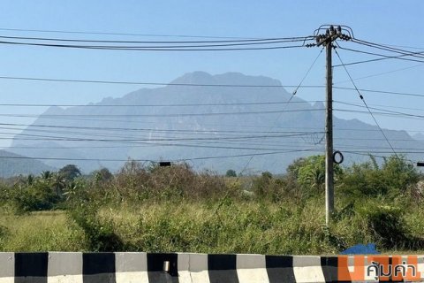 ที่ดินติดถนน วิวสวย อากาศดี มองเห็นวิวดอยหลวงเชียงดาว