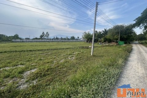 ที่ดินสวย 4 ไร่ 1 งาน 38 ตรว. บ้านแหวน หางดง เชียงใหม่