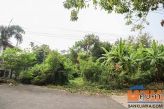 ขายที่ดิน หมู่บ้าน เรืองอนันต์ 203 ตร.ว เพชรเกษม บางแค ใกล้สถานีรถไฟฟ้า MRT บางแค ขายต่ำกว่าราคาประเมิน