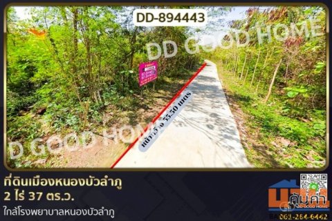 DD-894443 ที่ดินเมืองหนองบัวลำภู 2 ไร่ 37 ตร.ว. ใกล้โรงพยาบาลหนองบัวลำภู