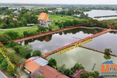 ขายด่วนราคาพิเศษ! ที่ดินเปล่าแปลงสวย ขนาด 5 ไร่ 1 งาน ตำบลสระสี่มุม กำแพงแสน นครปฐม ปัจจุบันทำกิจการบ่อกุ้ง