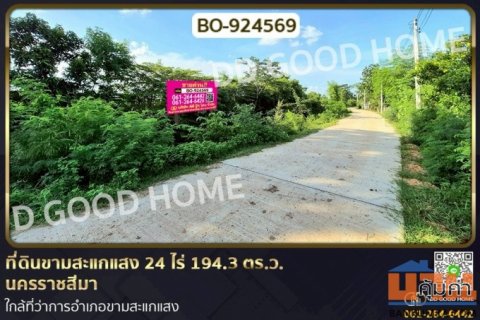 BO-924569 ที่ดินขามสะแกแสง 24 ไร่ 194.3 ตร.ว. นครราชสีมา ใกล้ที่ว่าการอำเภอขามสะแกแสง