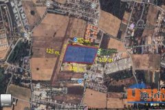 ขาย ที่ดิน พัทยา ทุ่งกลม-ตาลหมัน เนื้อที่ 18 ไร่ 1 งาน 56.3 ตรว
