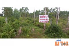 ขายที่ดินทำเลทอง อำเภอเมือในเมือง ตำบลพิมาย จังหวัดนครราชสีมา