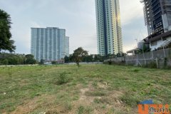 ขาย ที่ดิน พัทยา จอมเทียนสายสอง เนื้อที่ 5 ไร่ 55 ตรว