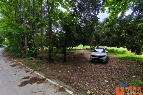 ขายที่ดินเปล่า2เเปลงติดกัน ทำเลดี ด้านหน้าติดถนนดำวิวภูเขา ด้านหลังติดลำธาร อำเภอสันกำแพง จังหวัดเชียงใหม่