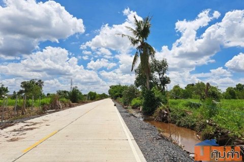 รังสิต คลอง10 หนองเสือ ที่ดินร่องสวน 4 ไร่ ถนนรังสิต-นครนายก