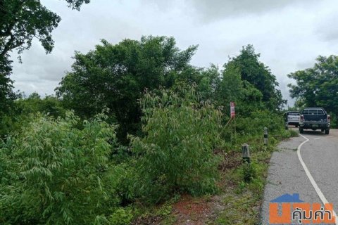 ที่ดินติดแม่สงคราม สกลนคร ที่ดิน 102 – 1 - 63.5 ไร่