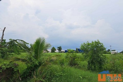 ขายที่ดิน 1 ไร่ รังสิต คลอง10 หนองเสือ โทร 084 992 4497