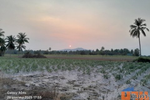 ขายที่ดินเปล่า ทำเลทอง อำเภอศรีราชา จังหวัดชลบุรี