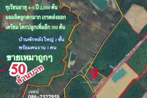 ขายราคาถูก สวนทุเรียนโฉนดรวม 106 ไร่ อ.เมือง จ.ตราด