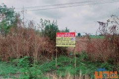 ขายที่ดิน 8 ไร่ ทำเลดี ราคาถูก พระนอน เมืองนครสวรรค์ ZK406