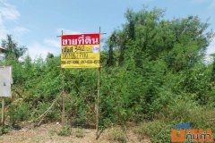 ขายที่ดิน 342 ตารางวา ซอยหนองปิงร่วมใจ7 เมืองนครสวรรค์ ใกล้สถานีรถไฟหนองปลิง ZK391