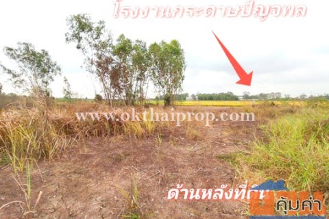 ที่ดิน ถนน3111 ต.ห่อหมก อ.บางไทร จ.อยุธยา