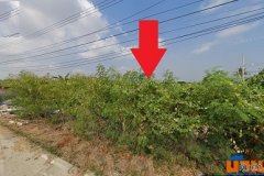 ขายที่ดินเปล่า 3 ไร่ บางบัวทอง นนทบุรี ใกล้คลองประปา ติดถนน ถนนบางแม่นาง พร้อมโอน ที่ดินหันหน้าทิศตะวันออก ฮวงจุ้ยดีมา
