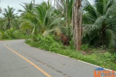 ขายที่ดินทำเลดี ตำบลท่าคา อ.อัมพวา จ.สมุทรสงคราม