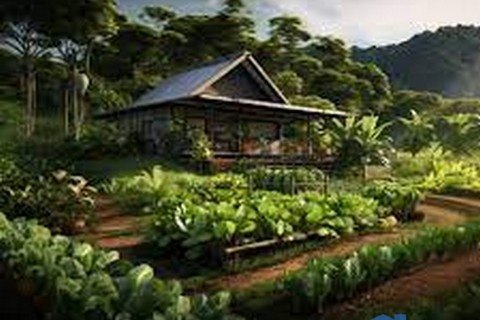 เช่าบ้านสร้างใหม่ พร้อมเข้าอยู่ 2 ชั้น เชียงใหม่ ใกล้ รร.นานาชาติหลายแห่ง