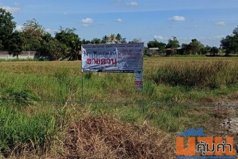 ที่ดิน 1-3-59.0 ไร่ ต.ขามทะเลสอ อ.ขามทะเลสอ จ.นครราชสีมา