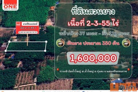 ที่ดินสวนยาง เนื้อที่ 2-3-55 ไร่ มีต้นยางพารากว่า 350 ต้น พร้อมให้ผลผลิต